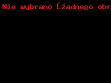 Grzejnik pokojowy Tesi 5 - IRSAP_1